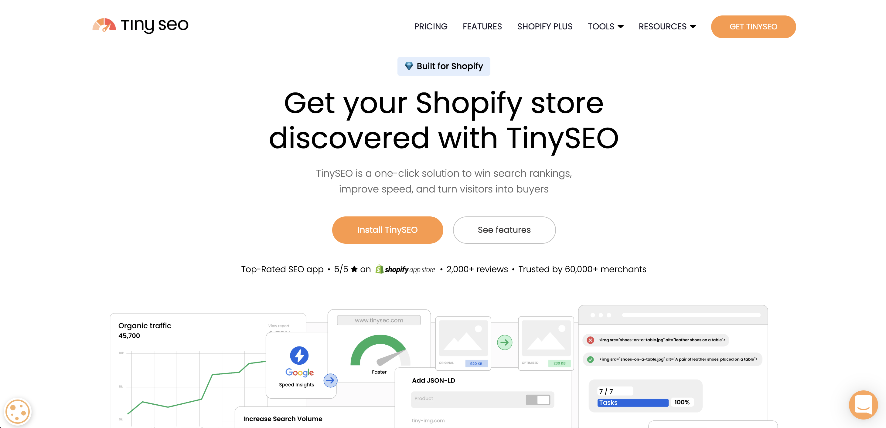 TinySEO Shopify app main page