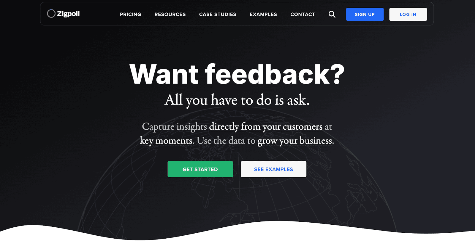 zigpoll homepage